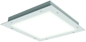 Force 22 Hygiene NSR
