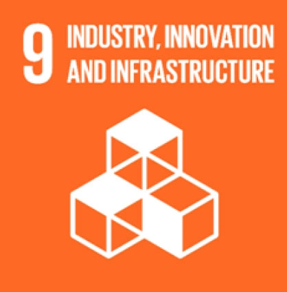 2. Industry, Innovation and Infrastructure (SDG 9)