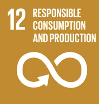 3. Responsible Consumption and Production (SDG 12)